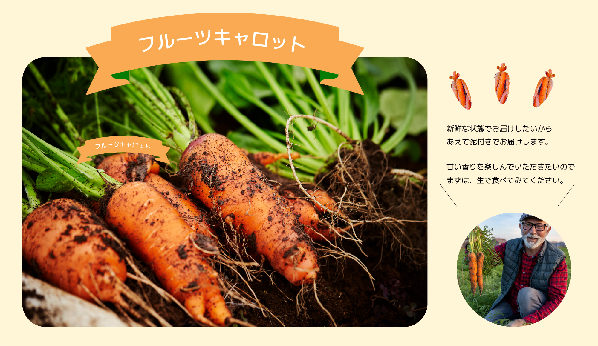 にんじんの説明