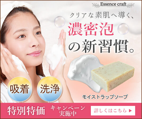 facesoap_banner.jpg